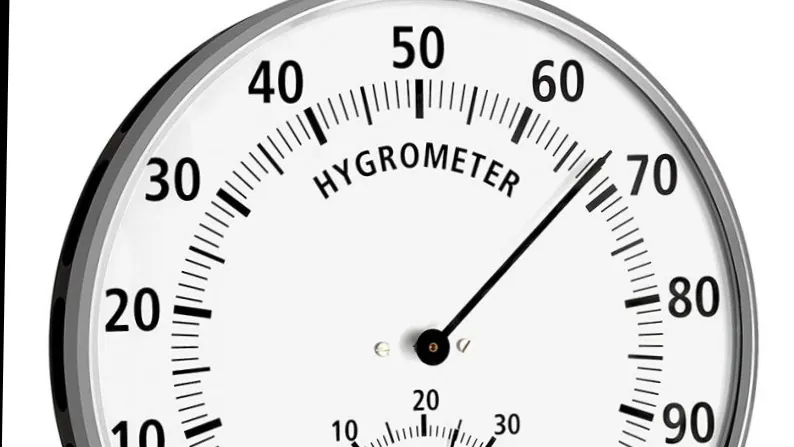 Humidificateur champignon : bien gérer l'humidité