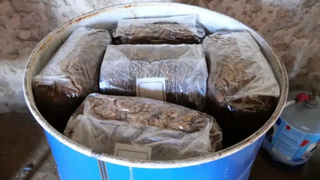 Stérilisation et pasteurisation : quelles différences et quelle méthode choisir en myciculture ?