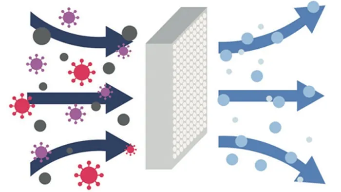 Flow hood mycologie : faut-il en acheter un ?